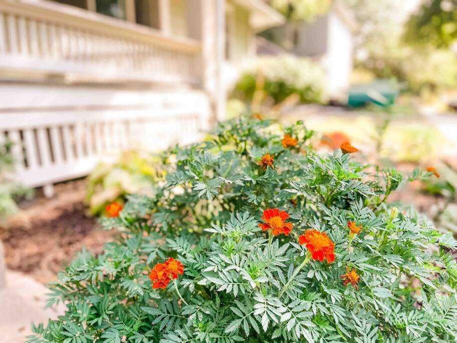 B St. Bungalow - Charming 6 Bd In Heart Of Lincoln. Walk To Gardens And Zoo, 8 Minute Drive To Campus/Downtonw Villa Buitenkant foto